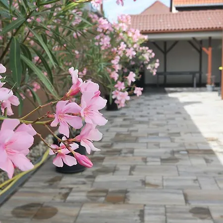 Sio50fok Apartmanhaz Appartement *